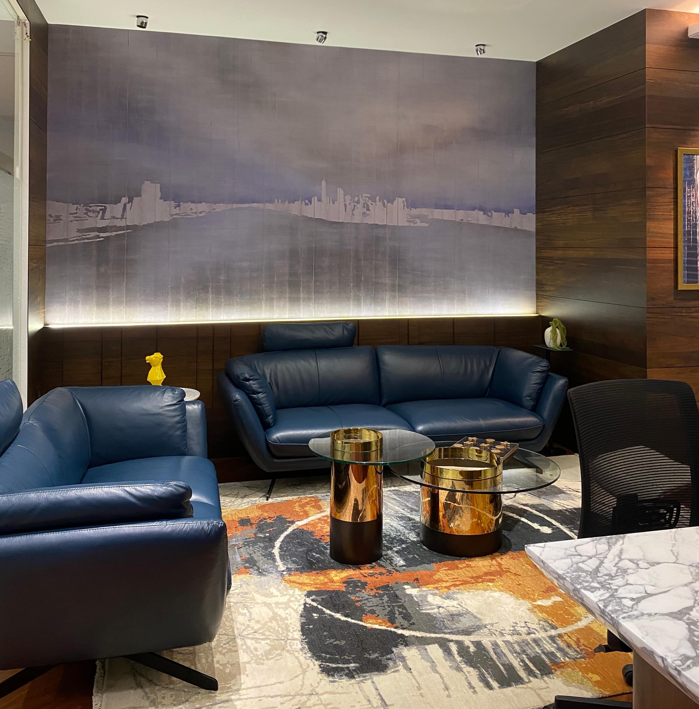 Biswas Ventures - interior view 18